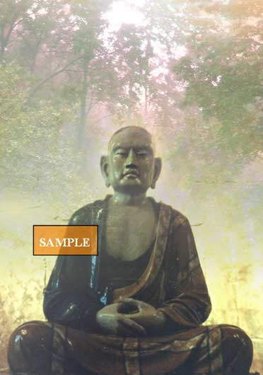 Buddha in Nature