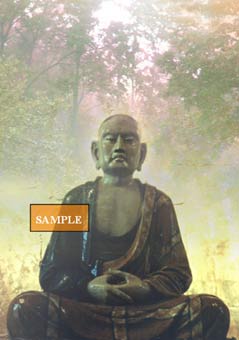 Buddha in Nature
