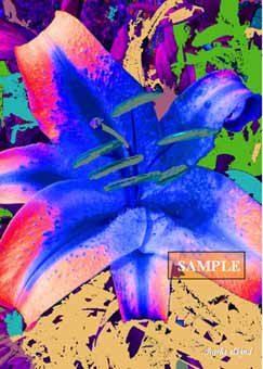 Electric Lillies #2