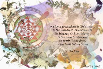 Awakening to Life's Unity
