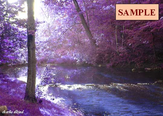A Blue Stream and Violet Trees