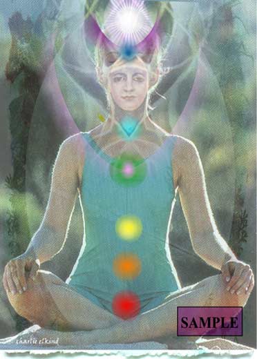 The Chakra Connection