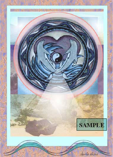 Dolphin Dreams