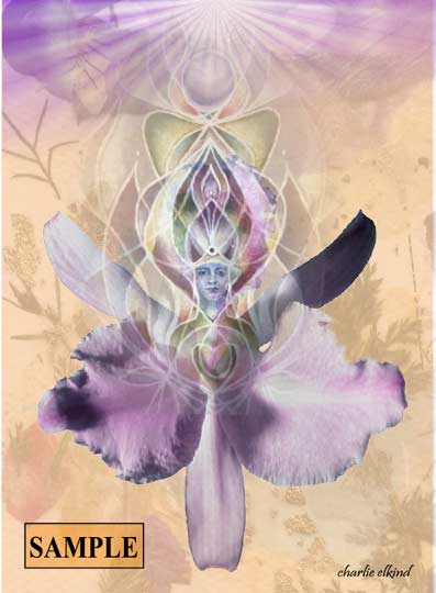 Flower fairy