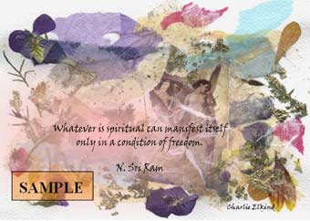 Freedom