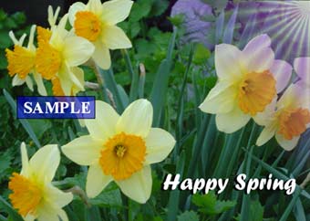 Happy Spring