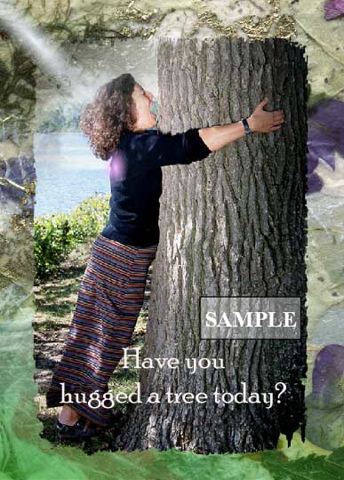 Hug a Tree