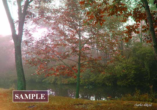 Morning  in the Country