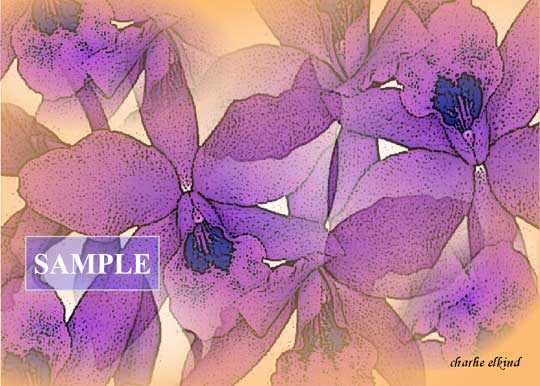 Purple Orchids