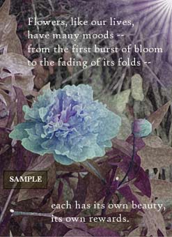 Seasons of the Flowers
