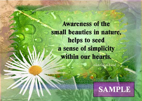 Simplicity
