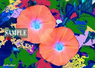 Abstract Flowers #1