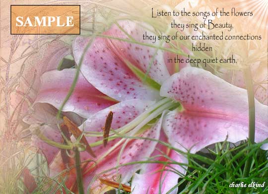 The Songs of the Flowers