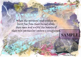 Spiritual Seeds