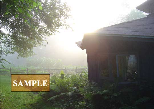 Sunrise Salutations
